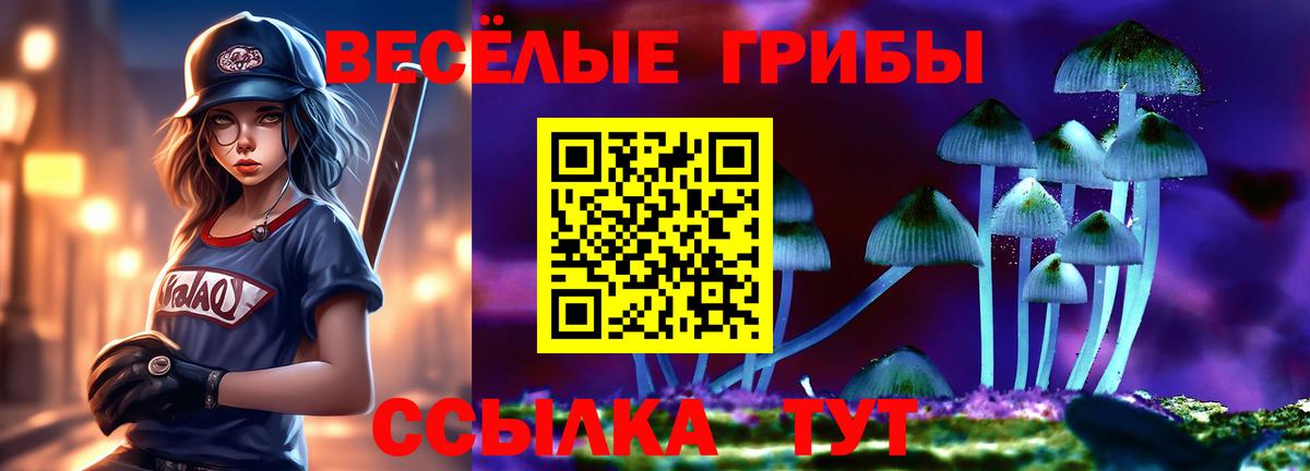Ростов Великий  Псилоцибиновые грибы ЛСД  Галлюциногенные грибы GOLDEN TEACHER  Вход с VPN 